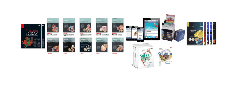 Anatomia e fisiologia umana